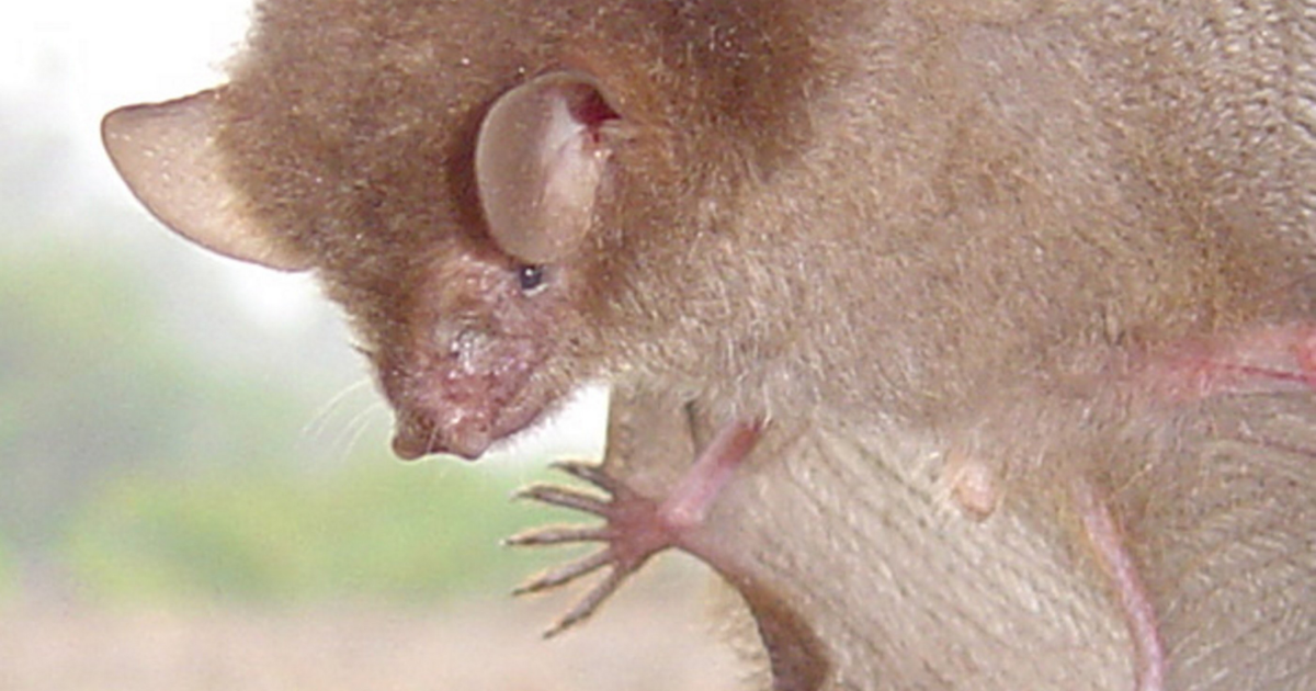 <br />
<b>Warning</b>:  Undefined variable $myimgalt in <b>/www/wwwroot/imfastcenter.com/wp-content/themes/ennews001/single.php</b> on line <b>213</b><br />
