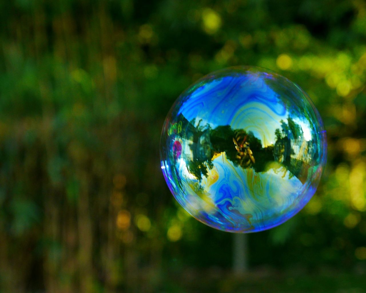 <br />
<b>Warning</b>:  Undefined variable $myimgalt in <b>/www/wwwroot/imfastcenter.com/wp-content/themes/ennews001/single.php</b> on line <b>213</b><br />
